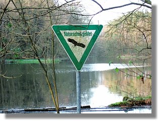 Dalbker Teich - Naturschutzgebiet