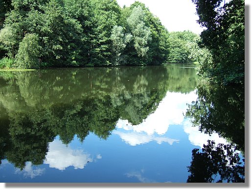 Dalbker Teich im Juli