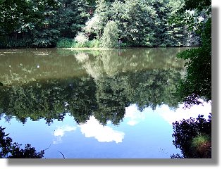 Dalbker Teich im Juli