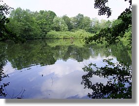 Holzbach Teich